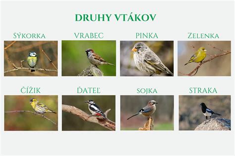 Rôzne druhy črievok na výrobu párkov