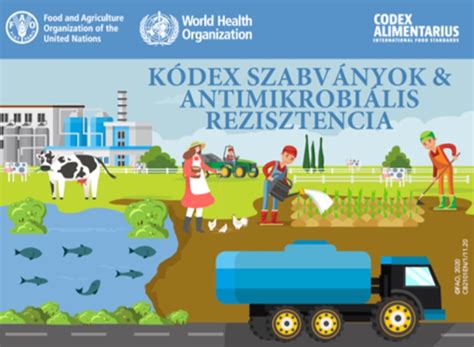 Infografika vysvetľujúca FAO systém