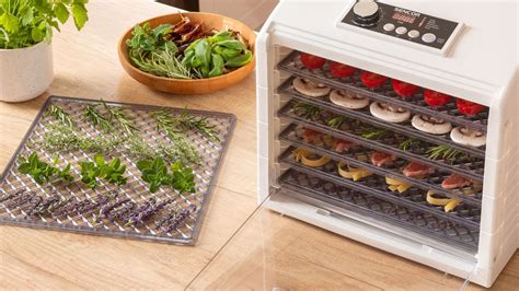 Proces sušenia zeleniny v rúre