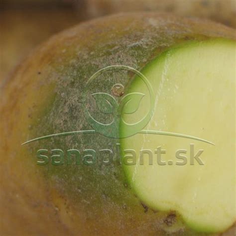 Schéma narezania zemiaka do vejára