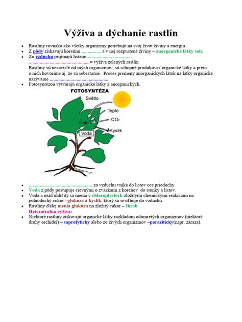 Schéma genetickej modifikácie rastlín