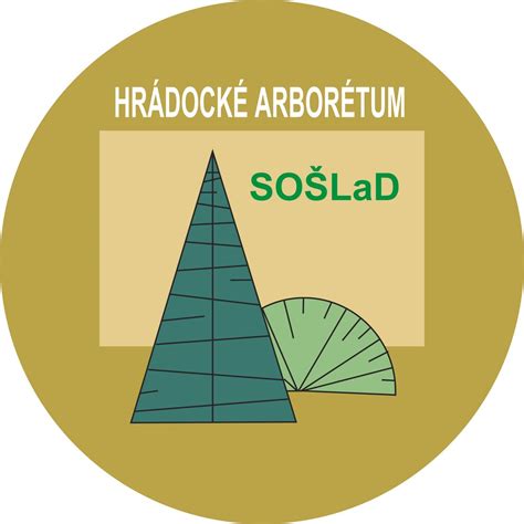 Ilustrácia hygienických opatrení pri liečbe svrabu