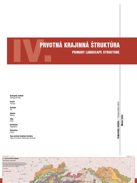 Štruktúra rybieho vrkoča