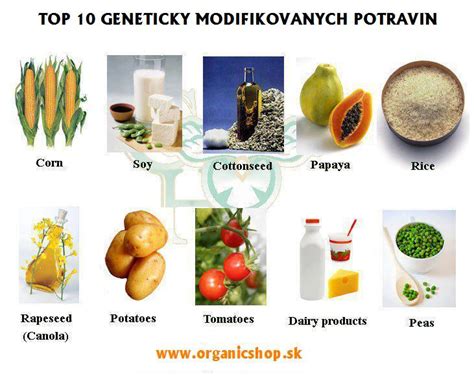 Symbol geneticky modifikovanej plodiny