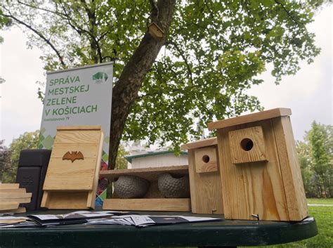 Vajičko papagája v hniezdnej búdke