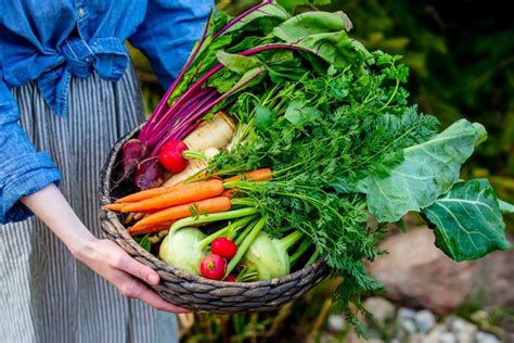 Rôzne druhy červenej zeleniny