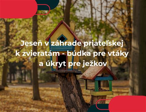 Mapa s tipmi na pomoc zvieratám v záhrade v zime