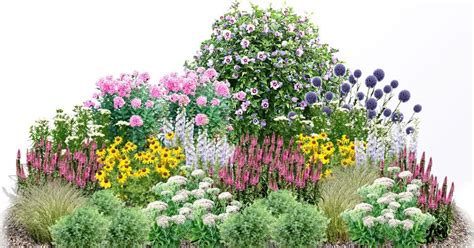 Mäta jablčná rastúca na slnečnom mieste