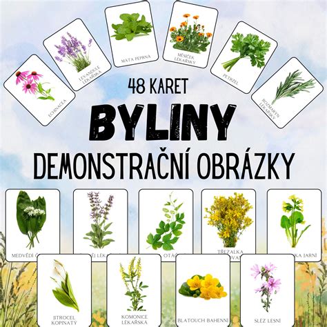 Rôzne varianty mletých rezňov