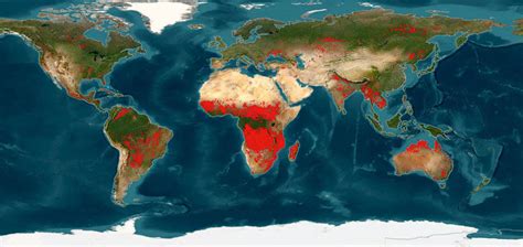 Mapa s vyznačenými častami tela najčastejšie postihnutými impetigom