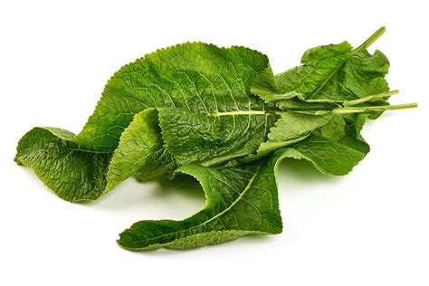 Čerstvé reďkovkové listy pripravené na varenie