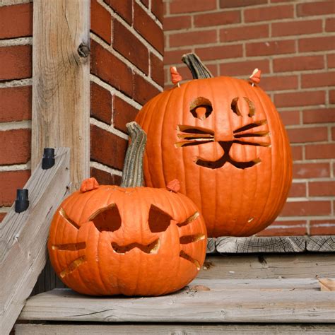 Ilustrácia tekvice rozrezanej na polovicu s vydlabanými semenami