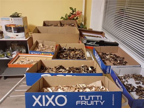 Čerstvé huby na prípravu cestovín