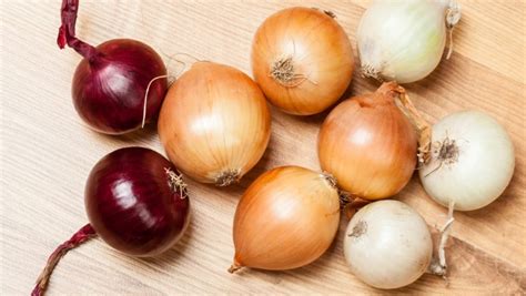 Infografika o druhoch cibule a ich využití v kuchyni
