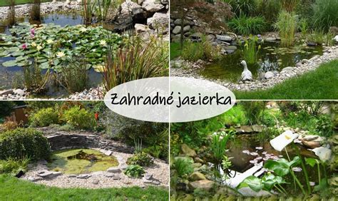 Náčrt tvaru jazierka v záhrade