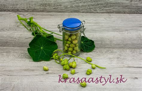 jedlá z kapucínky