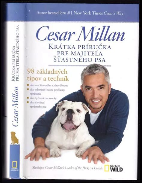 ilustrácia psa a majiteľa