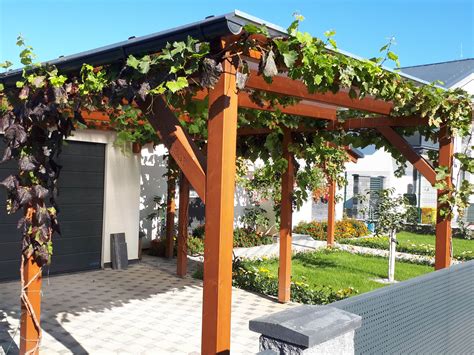 Modrý dom s oranžovou strechou obrastený viničom