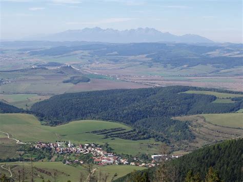 Pohľad z lúky na zalesnené časti Suchého vrchu a hrebeň Magury