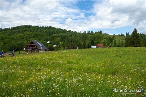 Malebné lúky v sedle Trtavky