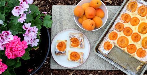 Schéma prípravy cesta na koláč