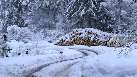 Ilustrácia šľahania bielkov na sneh
