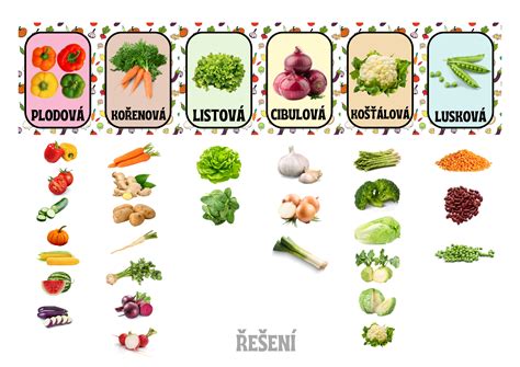 Ilustrácia rôznych druhov zeleniny použitej v ratatouille