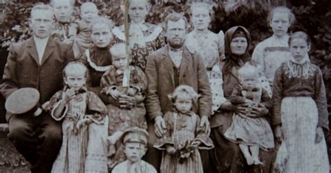 Historická ilustrácia zemiakov