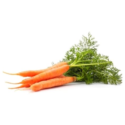 Mrkva pestovaná v črepníku