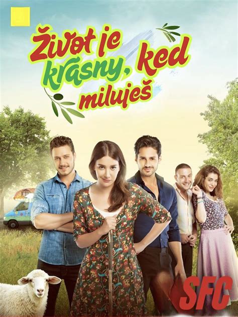 Plagát k seriálu Recept na život