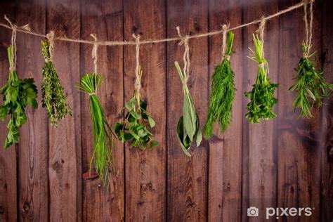 Čerstvé bylinky na drevenom pozadí