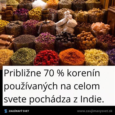 Ilustrácia rôznych svetových korenín