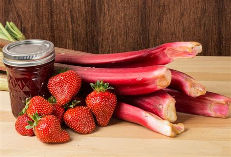 Ilustrácia jahôd a rebarbory