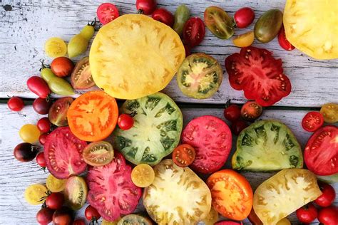 Odrody cherry paradajok