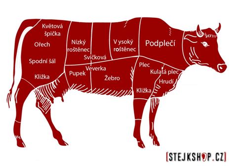 Rôzne druhy steakových omáčok