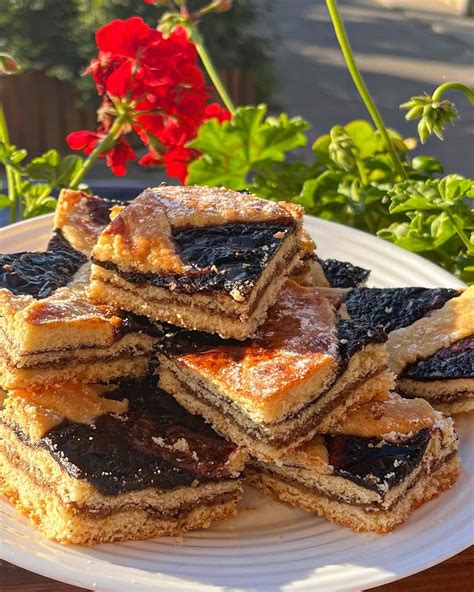 Ilustračné foto mrežovníka so slivkovým lekvárom