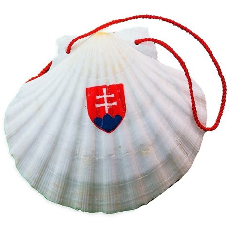 Lastúra mušle svätého Jakuba ako symbol pútnikov