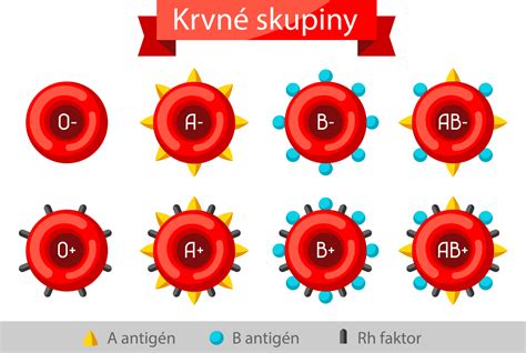 Ilustrácia štyroch krvných skupín (0, A, B, AB)