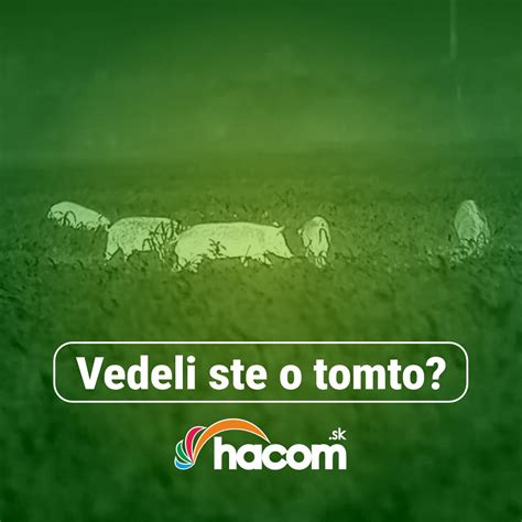 Vojaci americkej armády počas Vietnamskej vojny