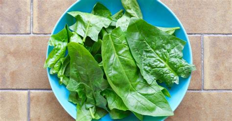 Čerstvé listy špenátu pripravené na konzumáciu