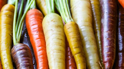 Farebné odrody mrkvy