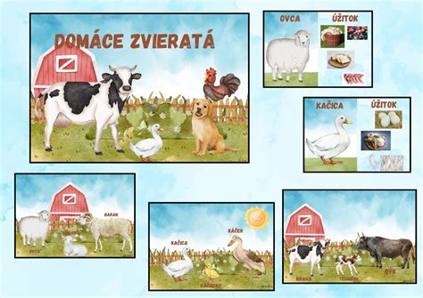 Domáce zvieratá na sedačke