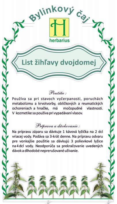 Ilustrácia žihľavy dvojdomej