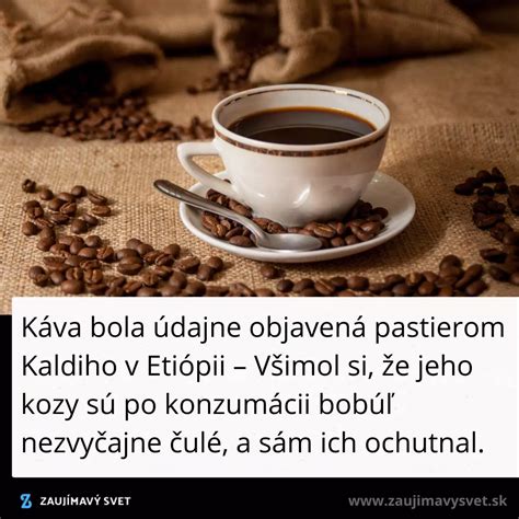 Stará fotografia alebo ilustrácia cigórie ako náhrady kávy
