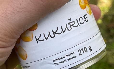 Sklad kukurice na farme