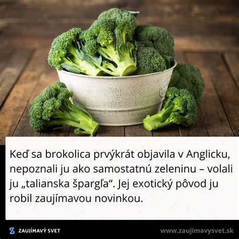 Ilustrácia čerstvej brokolice