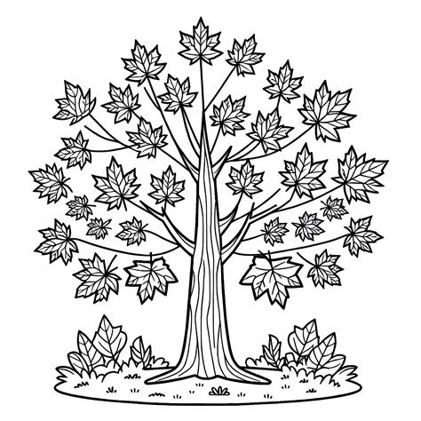 Obrázok javorového stromu