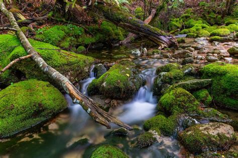 Prostredie medených hámrov