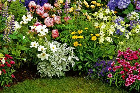 Zmiešaná výsadba v záhrade