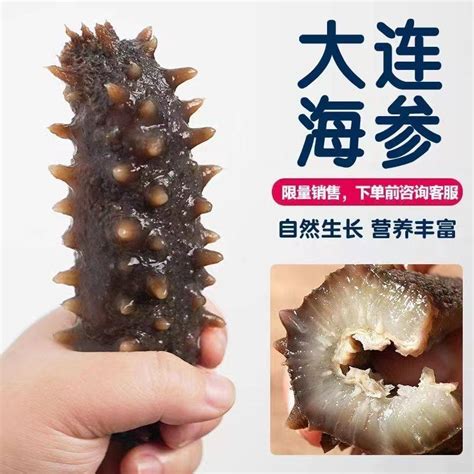 Porovnanie morskej uhorky s bežnou uhorkou